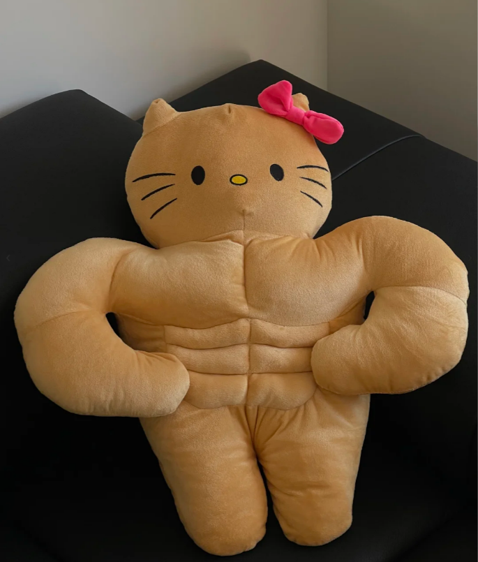 H K Funny Plush Toys, Cute Cartoon Pillow, Creative Gift