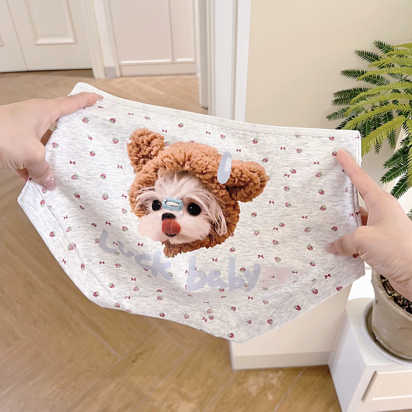Cartoon cat cotton underwear